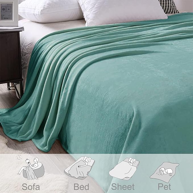 Exclusivo Mezcla Fleece Blankets Queen Size for Bed, Super Soft and Warm, All Season, Cozy, Plush, Lightweight, 90x90 Inches, Celadon