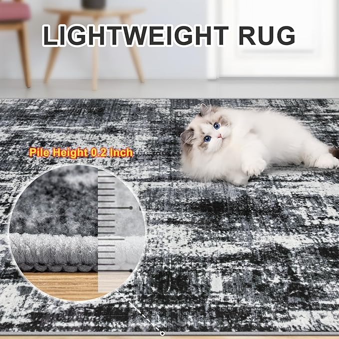 8x10 Area Rugs for Living Room - Washable Rug Modern Abstract Soft Large Neutral Non-Slip Carpet Indoor Floor Thin Carpets for Bedroom Dining Room Farmhouse Nursery Home Office Black