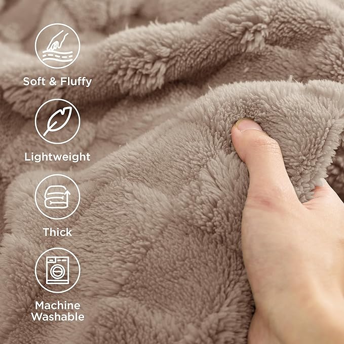 Bedsure GentleSoft Blankets Queen Size for Bed - Super Soft Cozy Blanket for Kids Girls, Large Fuzzy Fleece Throw for Bedroom Decor, Light Brown, 90x90 Inches