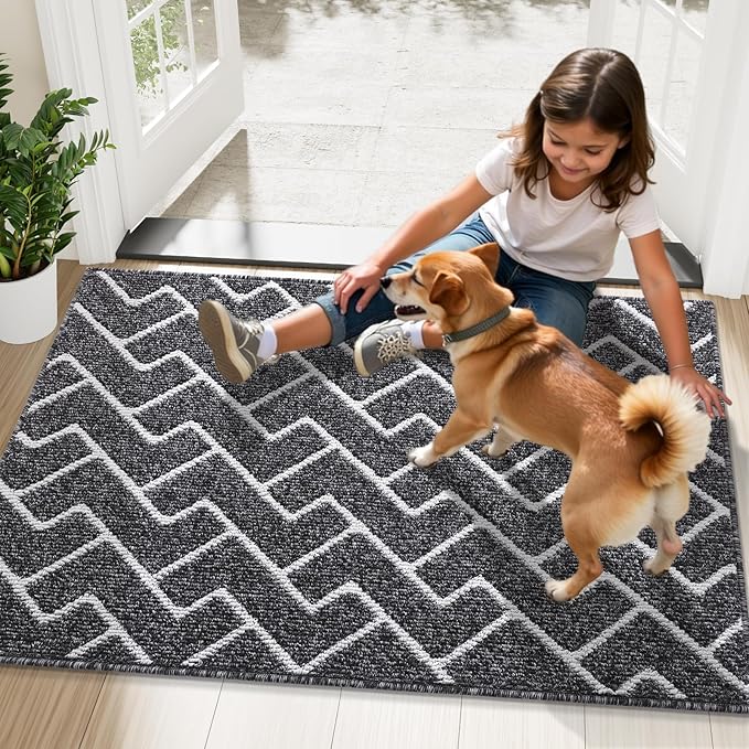 OLANLY Front Door Mat, Non-Slip Rubber Backing, Dirt Resistant and Absorbent, Washable, Easy to Clean Low-Profile Indoor Doormat for Back Door, Entryway, Inside Entrance, 32x20, Black