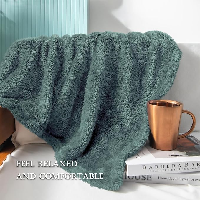 Exclusivo Mezcla Plush Fuzzy Fleece Bed Blanket Queen Size, Super Soft, Fluffy and Warm Blankets for Couch, Bed, All Season (Celadon, 90x90 inches)