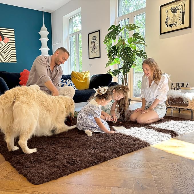 OLANLY 8x10 Machine Washable Large Area Rugs for Living Room, Bedroom, Soft Fluffy Shaggy Bedside Rug, Indoor Floor Carpet for Kids Girls and Boys, Dorms, Nursery, Home Decor Aesthetic, Coffee
