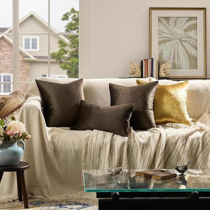 GIGIZAZA Brown Velvet Pillow Covers 16x16,Square Solid Throw Pillow Covers Decorative Modern Pillows Small Vintage Cases for Couch Pack of 2