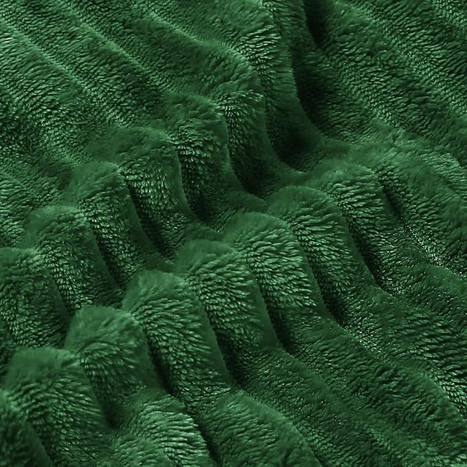 BEDELITE Fleece Throw Blanket for Couch – 3D Ribbed Jacquard Soft and Warm Decorative Fuzzy Blanket – Cozy, Fluffy, Plush Lightweight Green Throw Blankets for Bed, Sofa, 50x60 inches