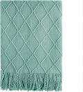 BOURINA Dark Cyan Throw Blanket 50 x90 Inches Textured Solid Soft Sofa Throw Bed Runner Knitted Decorative Blanket