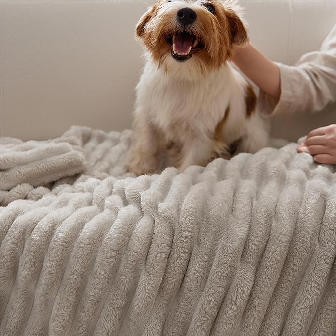 Bedsure GentleSoft Twin Blanket for Couch - Cozy Soft Blankets for Women, Cute Small Fleece Throws for Girls, Beige, 60x80 Inches