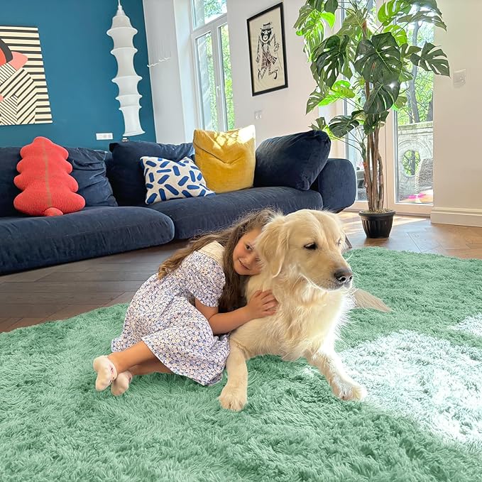 OLANLY 5x8 Machine Washable Large Area Rugs for Living Room, Bedroom, Soft Fluffy Shaggy Bedside Rug, Indoor Floor Carpet for Kids Girls and Boys, Dorms, Nursery, Home Decor Aesthetic, Mint Green
