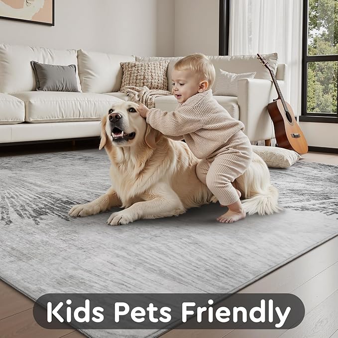 3 x 5 Rug Small Non Slip Area Rug Ultra Soft Machine Washable Low Pile Modern Abstract Dahlia Indoor Carpet Rugs for Bedroom Living Room Entryway Kitchen Bedside, Grey