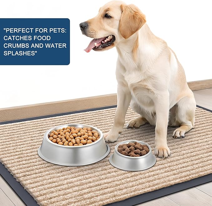 OLANLY Front Door Mat Indoor Outdoor Entrance, Waterproof Heavy Duty Doormat, Fade Resistant, Low Profile, Easy Clean Patio Porch Welcome Floor Mats for Entry, 59x30, Beige