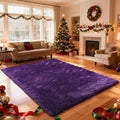 Shag Area Rugs for Bedroom Living Room,4X6 Ultra Soft Purple Fluffy Area Rugs for Dorm, Indoor Carpet Nursery Rugs for Kids Girls Room Home Decor,Purple