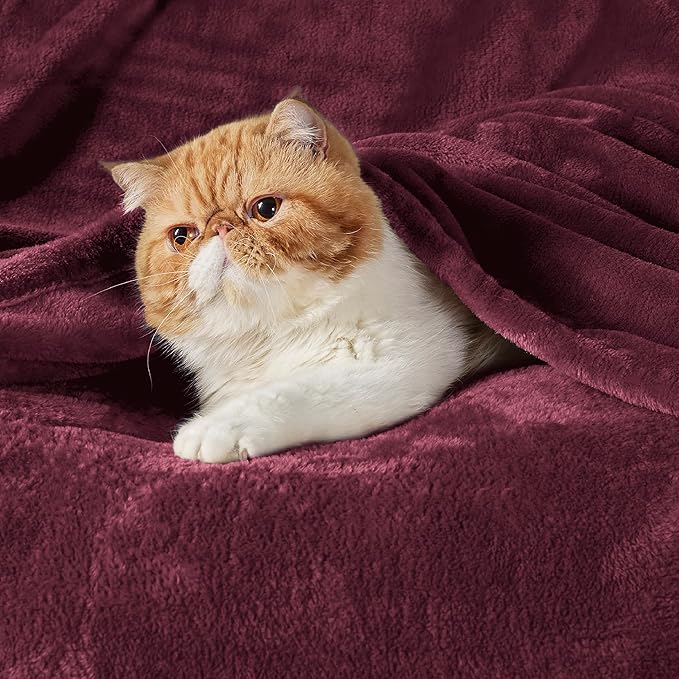 Bedsure GentleSoft Fleece Throw Blanket Burgundy Red - 300GSM Blankets for Couch, Sofa, Bed, Soft Lightweight Plush Cozy Throws for Toddlers, 50x60 inches