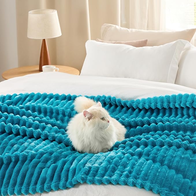 Bedsure GentleSoft Teal Fleece Blanket for Couch - Cozy Soft Blankets for Women, Cute Small Throws for Girls, 90x90 Inches