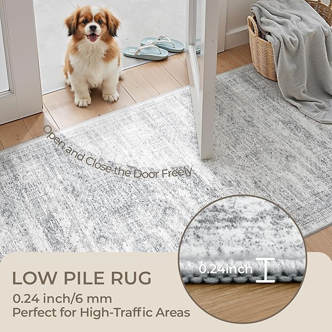 3x5 Washable Area Rug for Entryway, Soft Kitchen Rugs Non Slip for Dining Room, Vintage Abstract Living Room Rug, Thin Area Rugs Indoor for Bedroom, Kids Room Decor(3'x5', Grey/Ivory)