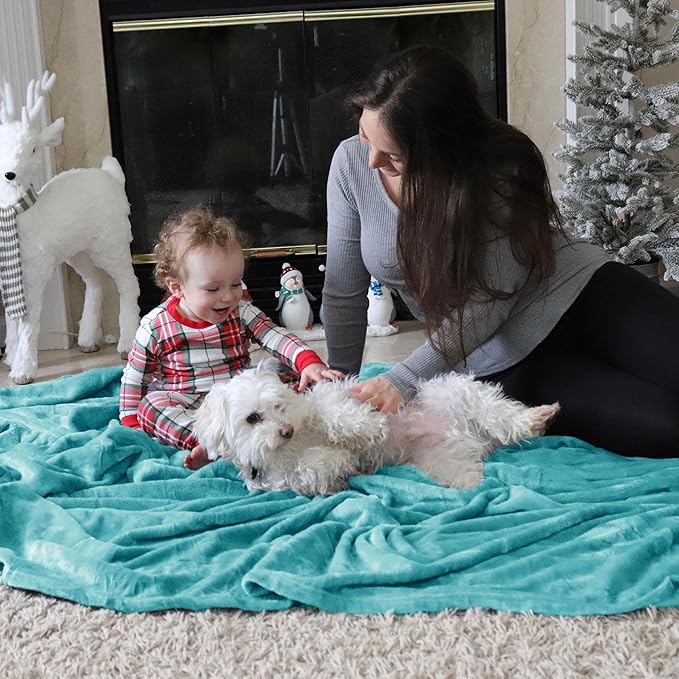 Bedsure GentleSoft Fleece Throw Blanket for Couch River Blue - Lightweight Plush Fuzzy Cozy Soft Blankets and Throws for Sofa, 50x60 inches
