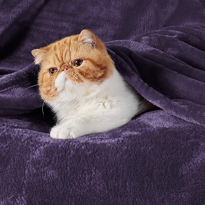 Bedsure GentleSoft Fleece Bed Blankets Large Size Purple - Soft Lightweight Fuzzy Cozy Luxury Oversized King Blanket Microfiber, Room Home Decor Gifts for Women and Men, 120x120 inches